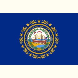 Flaga New Hampshire. Naklejka.